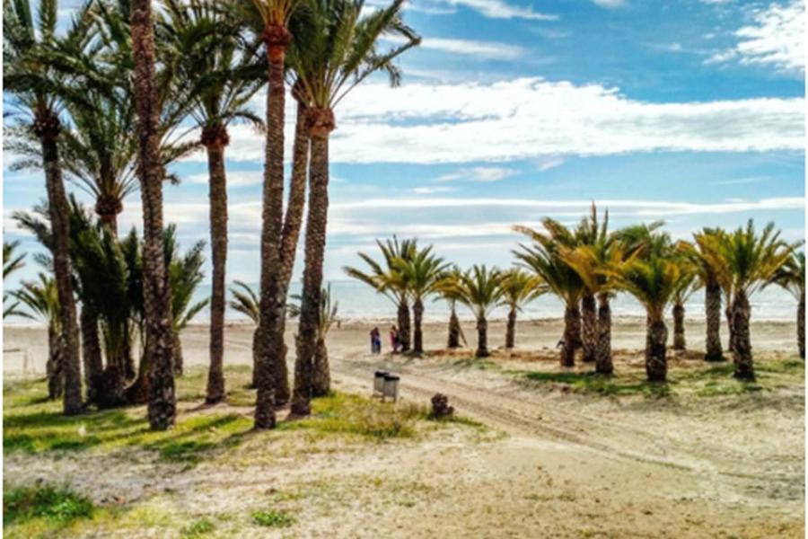 Apartamentoen La Playa, 200 Mts De La Playa Nuevo 圣波拉 外观 照片